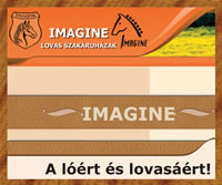 IMAGINE